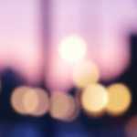 Anemones Fight Back Against Their Opressors