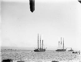 Lumber ships under tow at Grays Harbor, 1890s. Courtesy UW Special Collections.