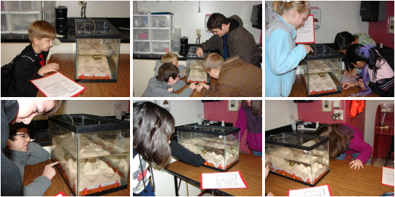 Students Experience Seafloor Spreading Thanks To Ocean Bloggers