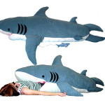 Sleeping with the fishes