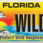 Studying dolphins as sentinels of oceans and human health