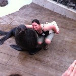 Name a baby fur seal at New England Aquarium
