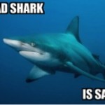 The question you should have asked about Fukushima, but probably didn’t.