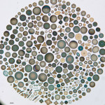 Diagnosing Death with Diatoms