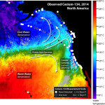 Fukushima radiation detected 100 miles from California Coast. Still not harmful.