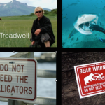 Shark Feeding, Managed Risk, and the Tredwellian Paradigm