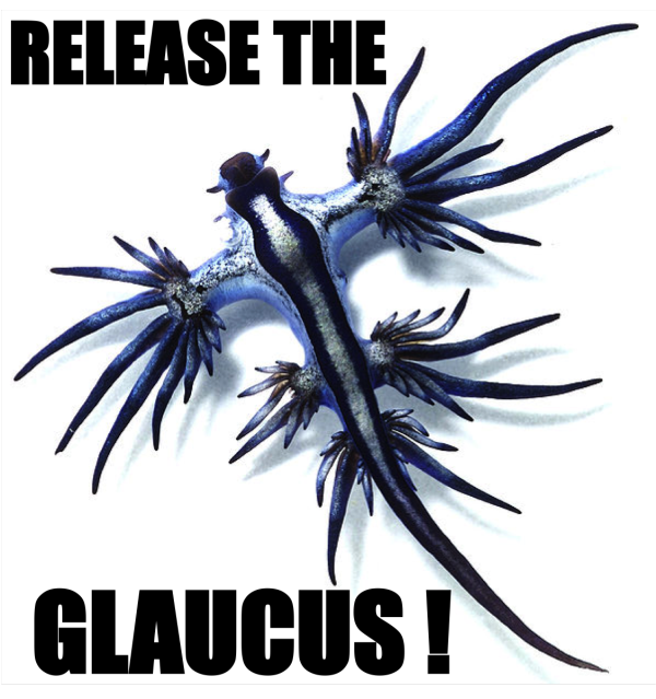 Release the Glaucus!