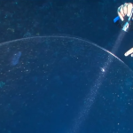 Car-sized ball of squid eggs filmed off the coast of Turkey
