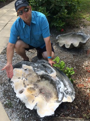Medium-sized Giant Clam shells from an old exposed reef on Fitzroy Island, Queensland, Australia.  Malacology Monday team member for scale.