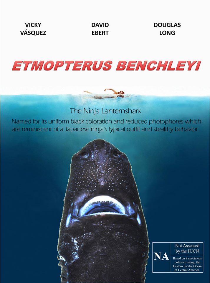 Etmopterus benchleyi film poster
