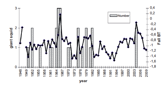 Fig. 2. from Guerra et al. Annual number of giant squid recorded in Newfoundland waters since 1946 versus autumn (September–December) near-bottom temperature.
