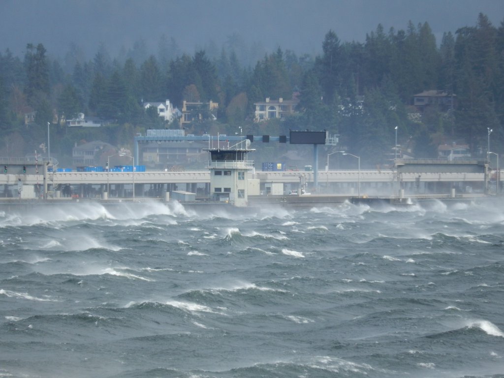 Waves of Washington's Windstorm Deep Sea News