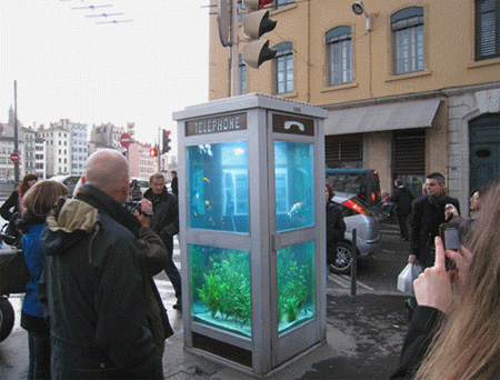 Aquarium telephone booth in France