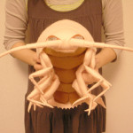 Fabric Giant Isopod