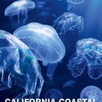 Reminder: California Coastal Cleanup Day