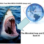 The REAL food web