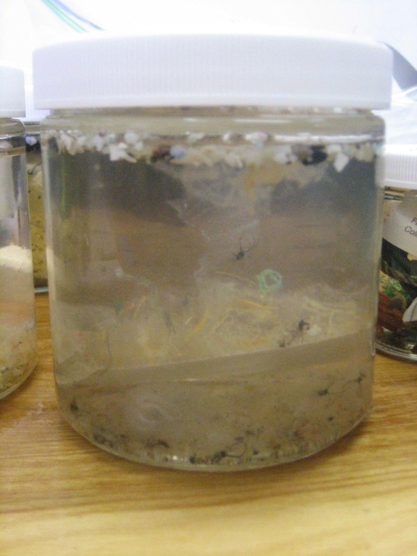 Plastic and plankton from the North Pacific Gyre in a jar.