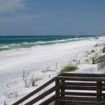 Gulf Sampling: White Sand with Black Spots