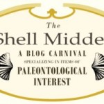 Welcome to the SHELL MIDDEN!!
