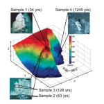 Predicting Microbial Communities in the Deep-sea