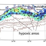 2011 Gulf of Mexico ‘dead zone’ could be biggest ever