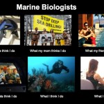 The glamorous life of the marine biologist