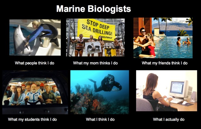 Title: Marine Biologists. Series of 6 photos with captions "What my mom thinks I do", "What my students think I do", etc.
