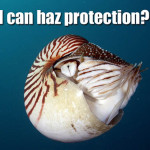 Will marine conservation miss out at the next CITES meeting?