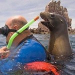 Sea Lion Photo Bomb