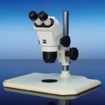 A New Stereomicroscope for $440?