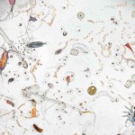 The sea is full of life, but not quite that full