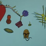 The Biological Pump: A short film in construction paper