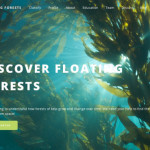 Floating Forests