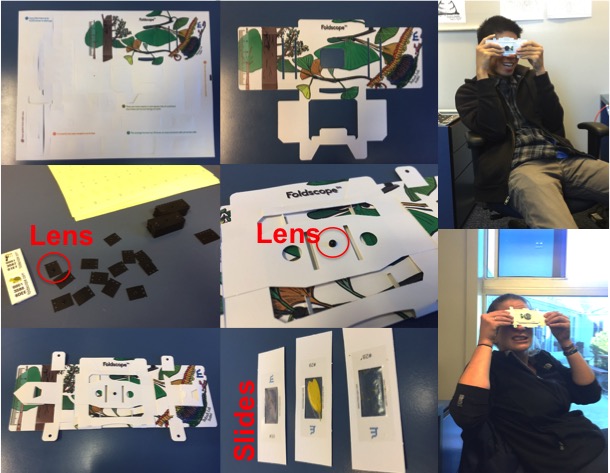 All the various stages (pun intended) of Foldscope production. And my lovely office mate Brian and I modeling them. 