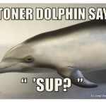 Dolphins and Drugs – The Shocking Connections