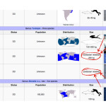 Awesome nerd joke hidden in Wikipedia’s “List of Cetaceans”