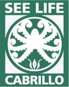 see-life-logo-with-type