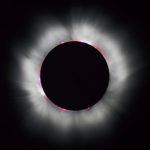 What happens in the sea during a solar eclipse?