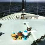 When real-life marine biologist and mom goes to sea, she takes the octonauts with her