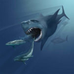 How We Know Megalodon Doesn’t Still Exist?